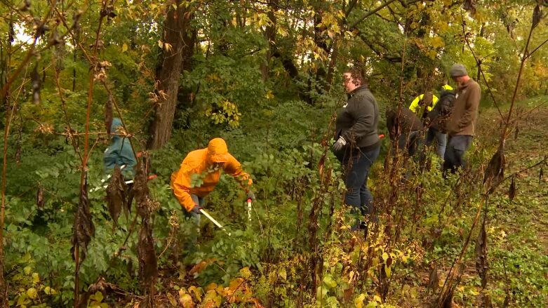 Recommendations for Enhancing the Efficacy of Community Service